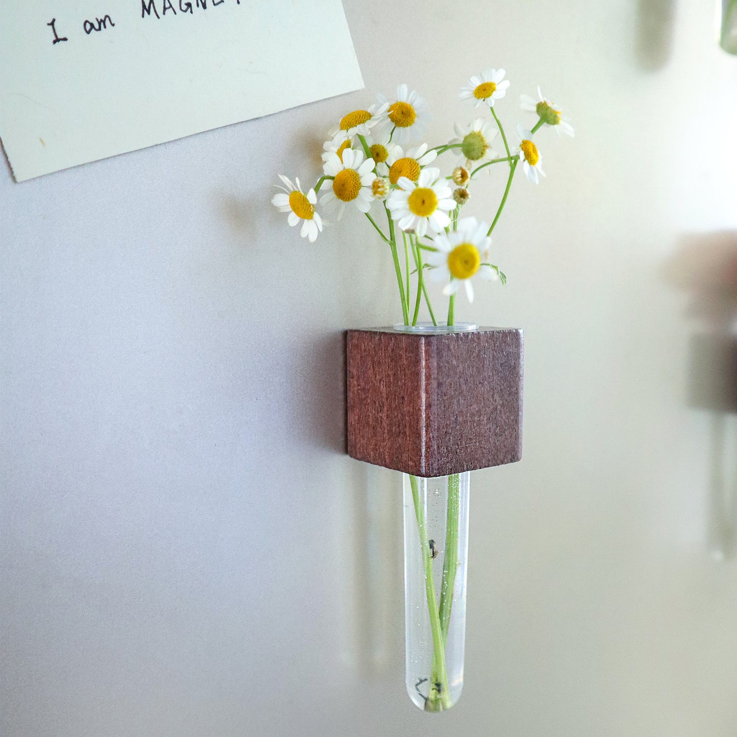HM006 Mini Vase Magnets – Set of 2