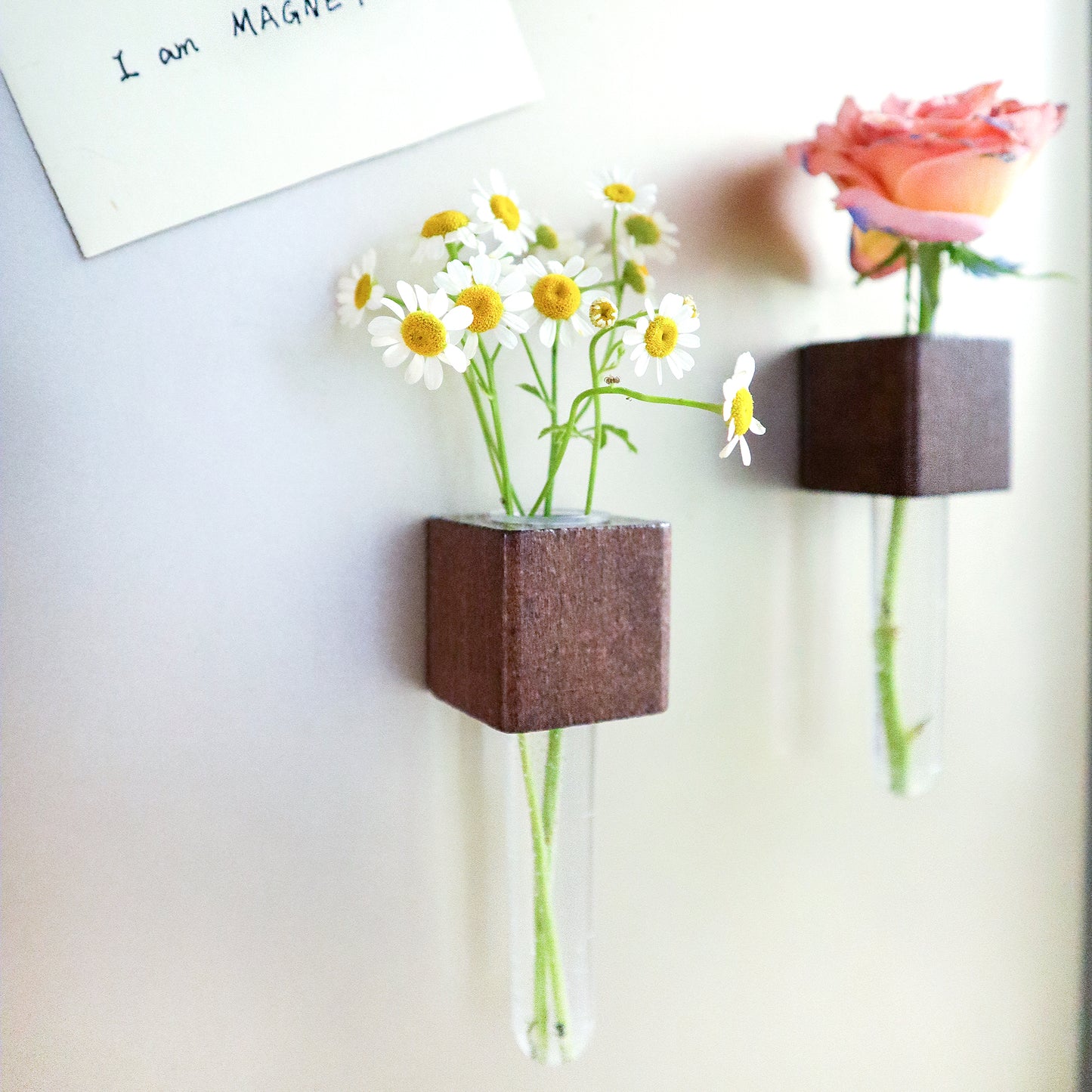 HM006 Mini Vase Magnets – Set of 2