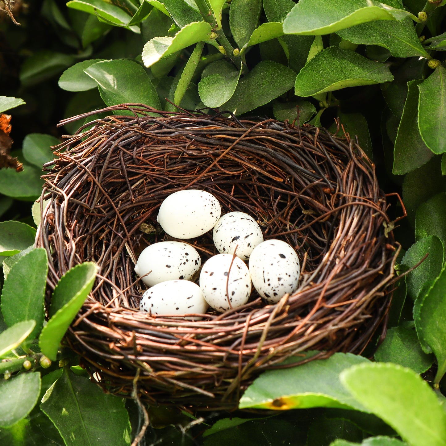 HM022 Handmade Bird Nest and Realistic Eggs