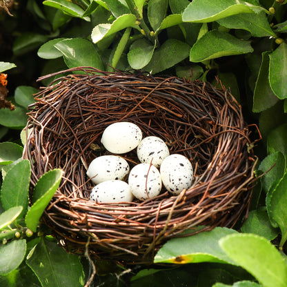 HM022 Handmade Bird Nest and Realistic Eggs