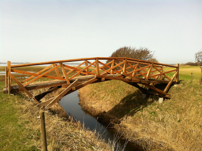 ST033 Da Vinci's Bridge