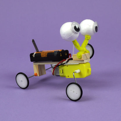 ST028 Bug Robot